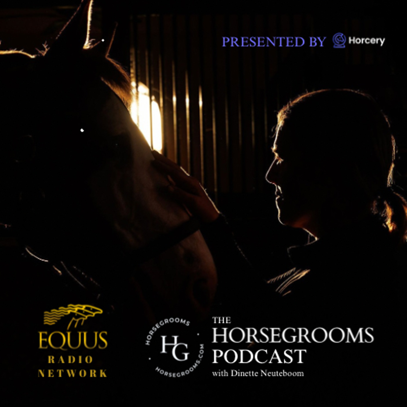 The HorseGrooms Podcast - Episode 001 - Special Guest Sue Schlegel episode artwork