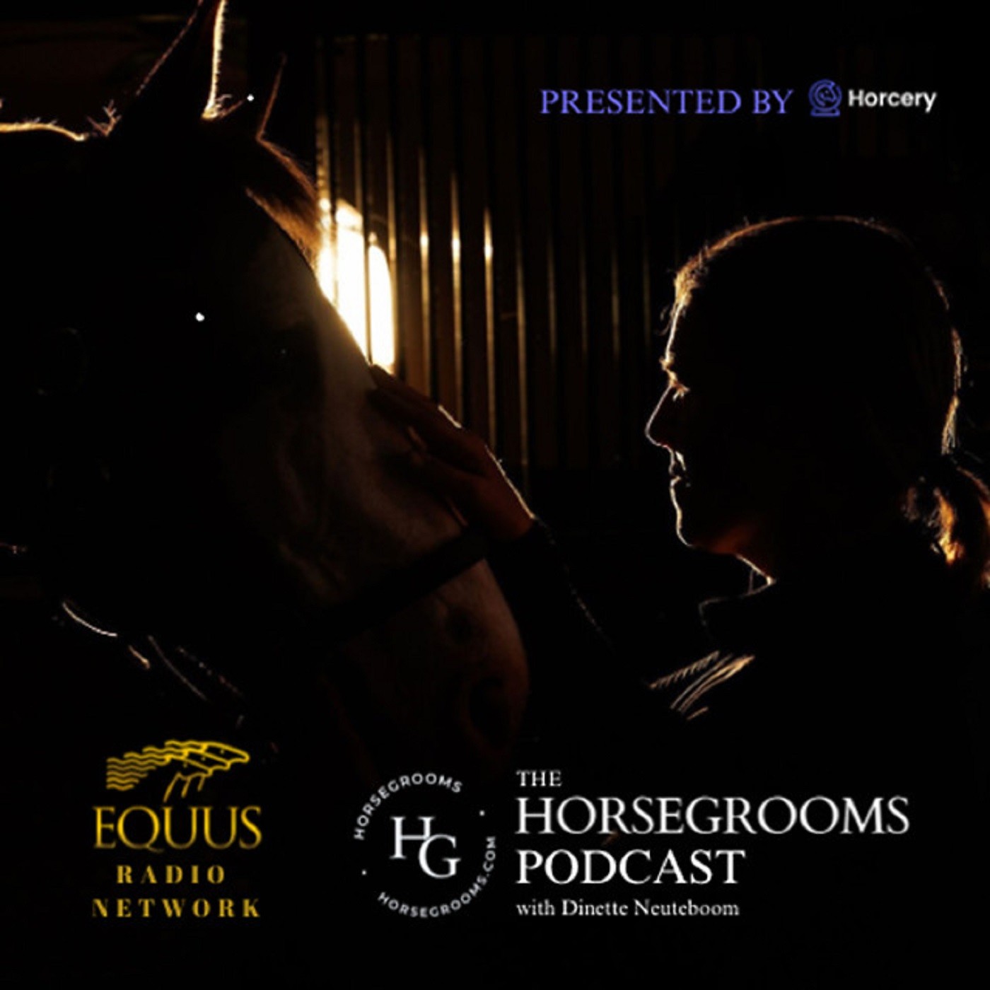 The HorseGrooms Podcast - Episode 002 - Special Guest Denise Moriarty episode artwork