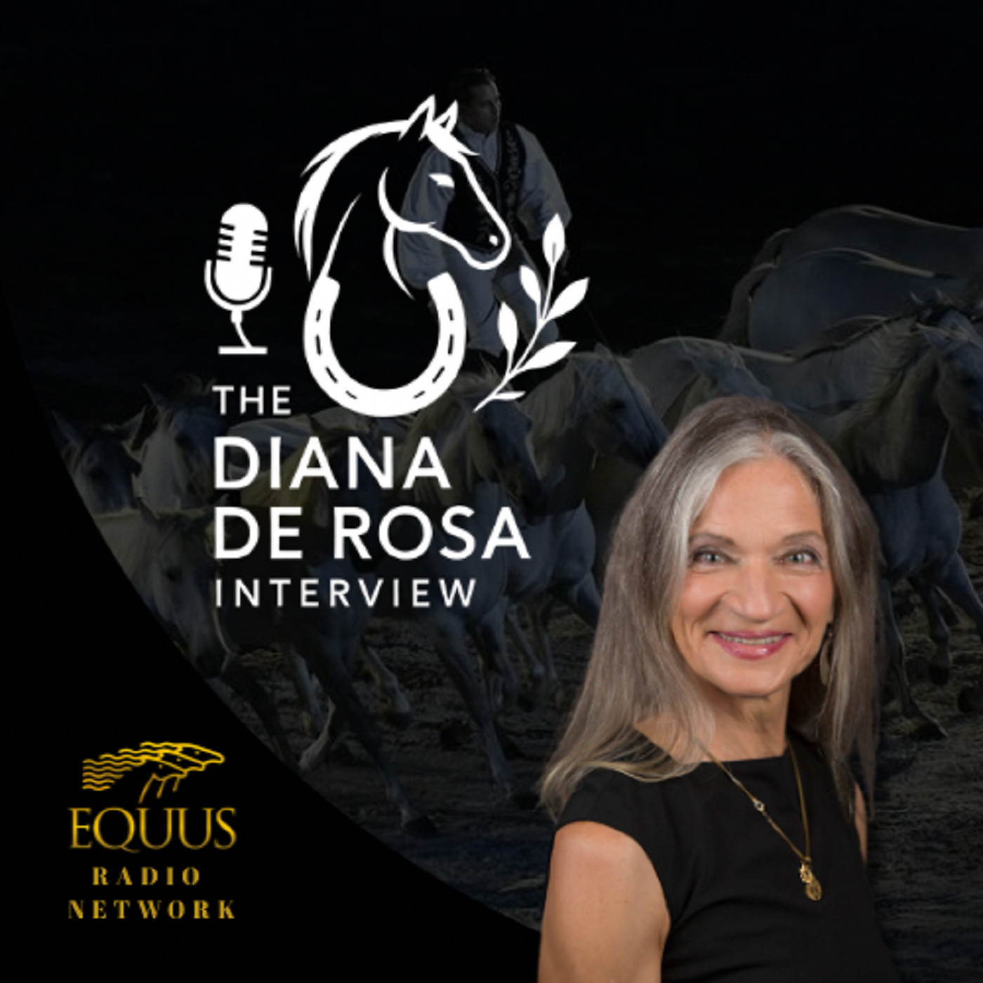 The Diana De Rosa Interview- Special Guest - Birgit Rosenberg - Interview #4 episode artwork